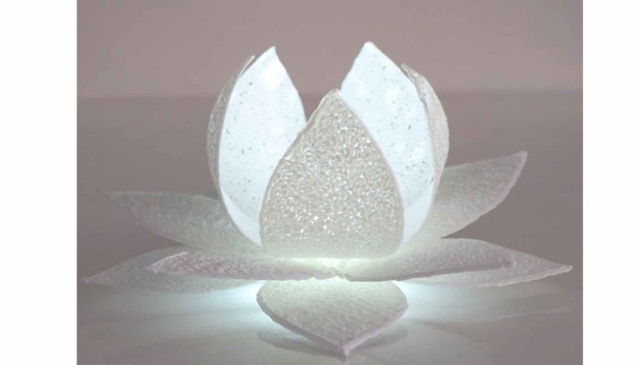 Lumière de fleur de lotus - modèle de stylo 3D (source d'image : the3doodler.com)