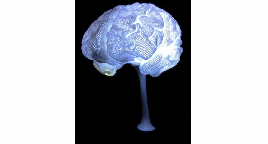 Lampe cérébrale pour les poètes et les penseurs (source de l'image : cc3psae/myminifactory)